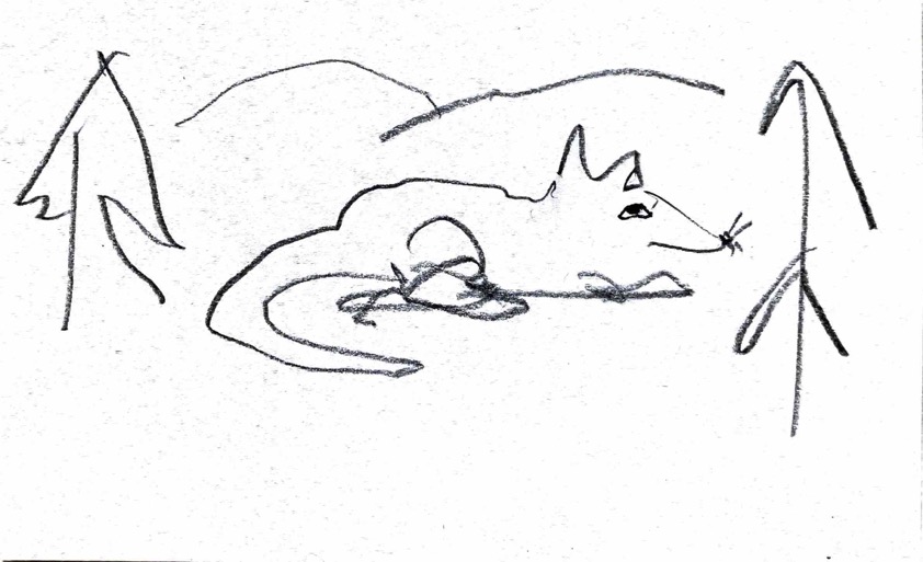 Index Card 110