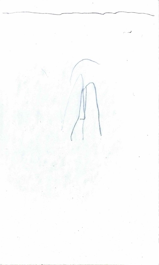 Index Card 113