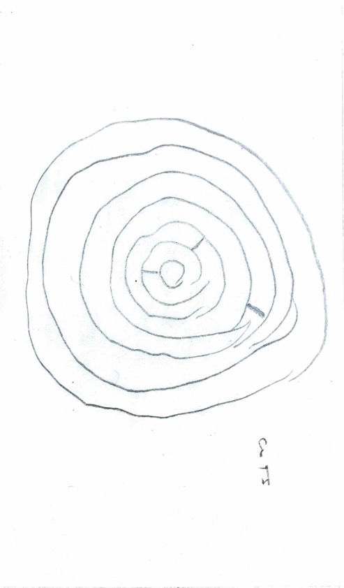 Index Card 116