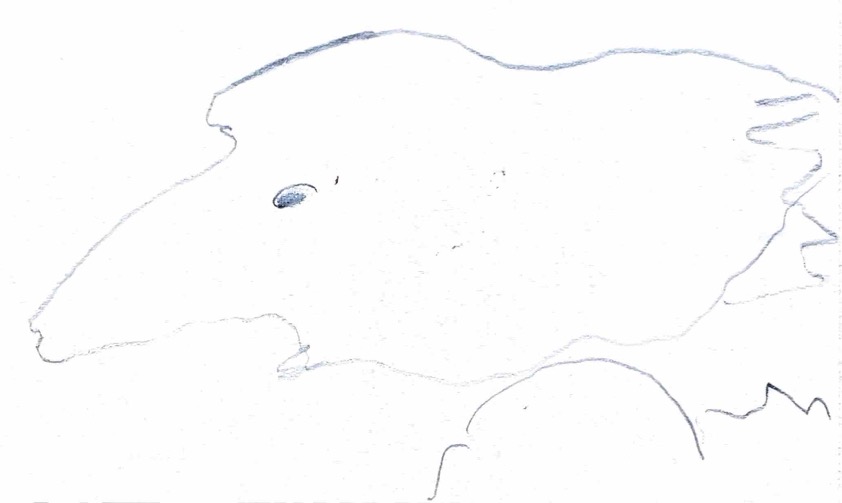 Index Card 221