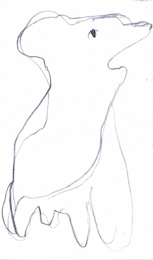 Index Card 223