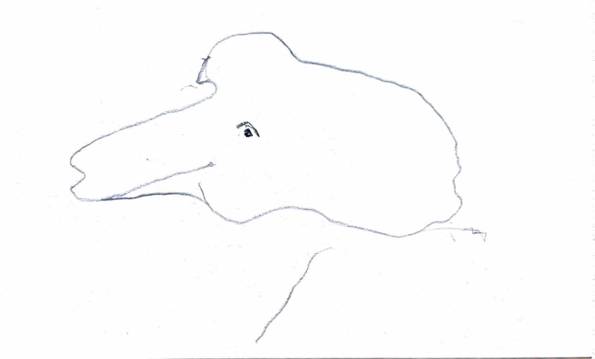 Index Card 224