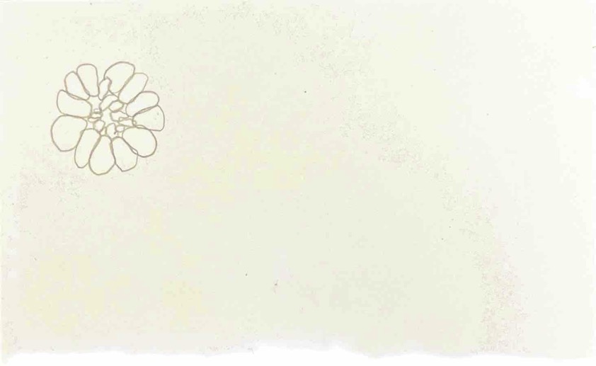 Index Card 340