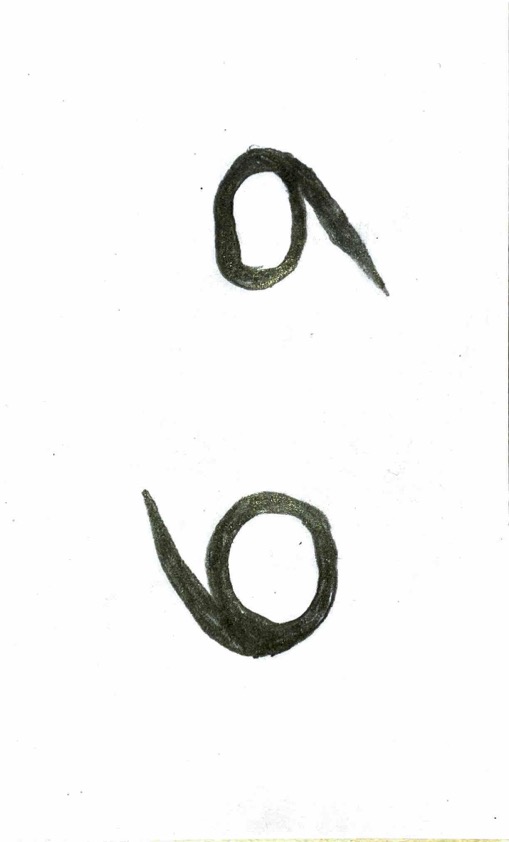 Index Card 51